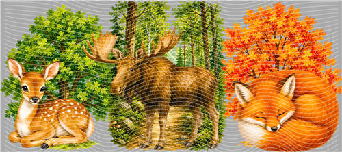 16oz Animals-L 981